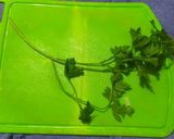 Foto del paso 4 de la receta: Sopa cultivateur deliciosa