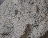 A picture of step 4 of Bajra cookies.