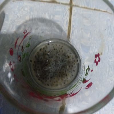 Langkah 2