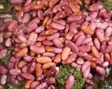عکس مرحله 3 از دستور خورشت کرفس با سبزی قورمه