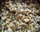 मुगागाठी (moogagathi recipe in marathi) रेसिपी स्टेप 1 फोटो 
