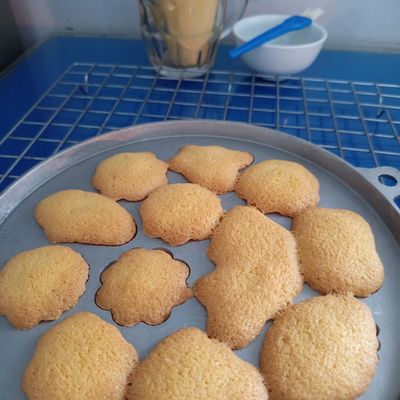 Langkah 11