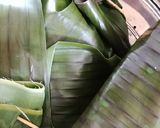 Foto langkah ke 6 dari resep Ikan peda kukus pelangi.