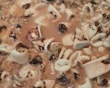 Foto del paso 4 de la receta: Calamarcitos encebollados
