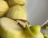 Foto del paso 3 de la receta: Tarta de hojaldre con crema pastelera y manzanas