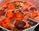 A picture of step 2 of Plum Lemon Juice:.
