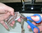 Foto del paso 3 de la receta: Calamares (3 formas de hacerlos) como limpiarlos