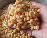 Foto langkah ke 1 dari resep Tempe Chana Dal dengan Ragi homemade.