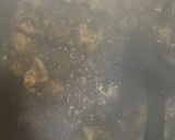 A picture of step 4 of Spicy chicken macaroni spaghetti.
