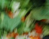 Foto langkah ke 7 dari resep Sayur Cah Ala Edbars Kitchen.