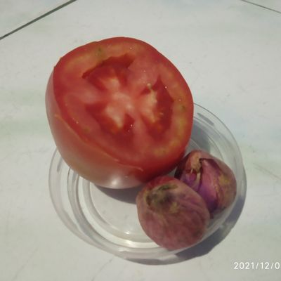 Langkah 6