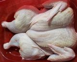 A picture of step 2 of Spatchcock BBQ chicken.