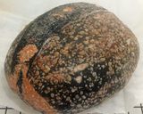 Foto langkah ke 21 dari resep Charcoal Ubi Ungu Sourdough Bread.