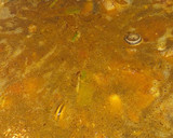 Foto del paso 10 de la receta: Paella Valenciana