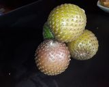 Foto del paso 1 de la receta: Jugo de COPAO y Goldenberrie