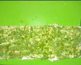 A picture of step 3 of Tricoloured Rollcut Sandwiches.