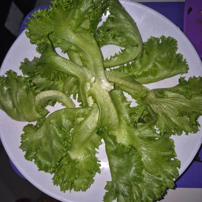 Langkah 5
