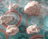 Foto del paso 3 de la receta: Pancitos Saborizados 😊