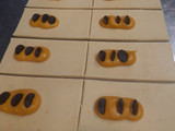 کرم مانگو (انبه)