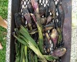 Foto del paso 7 de la receta: Dip de cebolla de verdeo ahumada con salsa de ajo