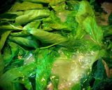 Hình bước làm 5 của món Canh Rau Tập Tàng Nấu Tôm