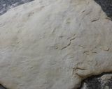 Foto del paso 2 de la receta Mini pizzas