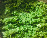 Foto del paso 2 de la receta: 🍲SALSA🍲MUY CREMOSA DE PUERROS 🍲 (PARA ACOMPAÑAR 🍜PASTAS 🍜)