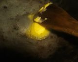 Foto langkah ke 3 dari resep Nugget Mie.