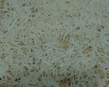 Foto langkah ke 4 dari resep Macaroni Schotel ala WeJe.