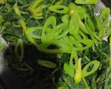 Foto langkah ke 1 dari resep Tumis daun pepaya teri.