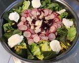 Une image de l'étape 11 de Salade de printemps aux radis cerises et mozzarella di buffala.