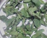 ફુદીના ની ચટણી (Pudina Chutney Recipe In Gujarati) રેસીપી સ્ટેપ3ફોટો