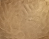 Foto del paso 3 de la receta: Kuchen de mora