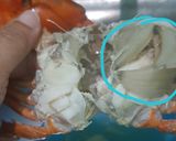Foto langkah ke 2 dari resep Kepiting Saos Padang.