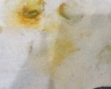 A picture of step 3 of Tandori Parantha.