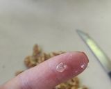 Foto del paso 2 de la receta: Mantecol