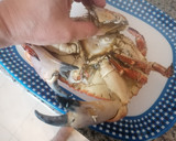 Foto del paso 3 de la receta: Buey de mar hervido estilo gallego
