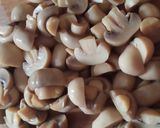 Foto langkah ke 1 dari resep Ayam Jamur Kecap Super Praktis (Untuk Toping Mie).