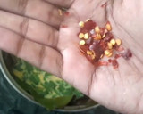 கிரின் வெங்காயம் ஆம்லேட் ரெசிபி ஸ்டேப் 4 புகைப்படம்