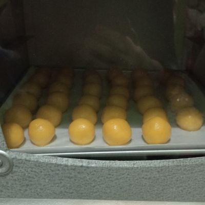 Langkah 7