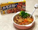 便當菜-佛蒙特咖哩雞的食譜步驟8照片