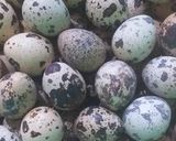 Hình bước làm 1 của món Bánh Tráng Trộn