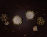 Custard Apple Milkshake recipe step 3 photo