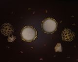 A picture of step 3 of Custard Apple Milkshake.