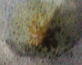 A picture of step 3 of Chhole kulcha.