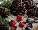 Foto del passaggio 9 della ricetta PIGNE AL CIOCCOLATO E CEREALI 🌲