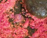 Foto langkah ke 2 dari resep Udang sambal kacang panjang.