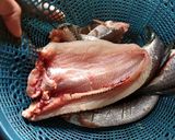 Foto langkah ke 1 dari resep Resep ikan asin yg gurih dibuat dari ikan segar.
