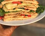 Sandwichmatakin girki9 hoto