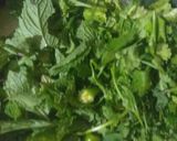 A picture of step 2 of Kiwi mint chutney.